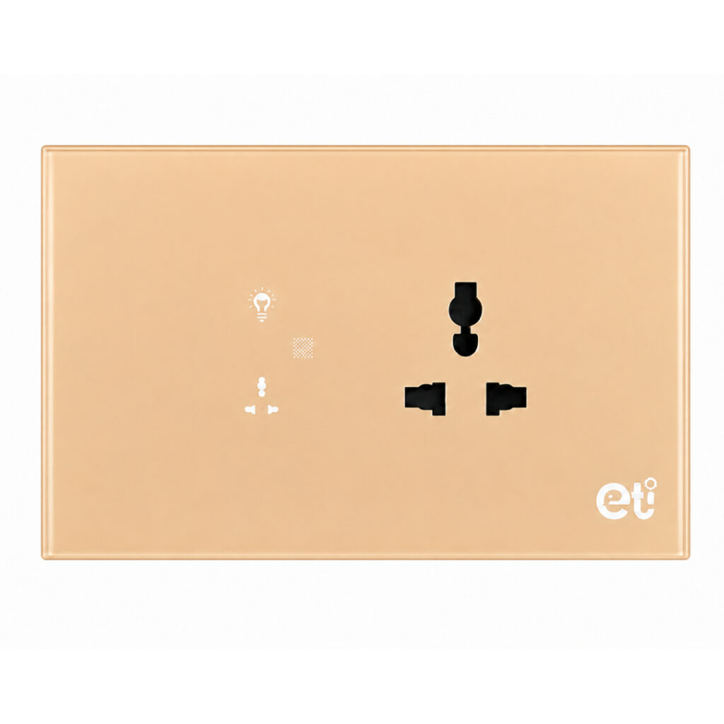 Acrylic 2 switch  1soc -4M